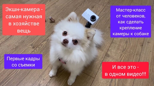 Крепление для экшн-камеры собаке на шлейку своими руками