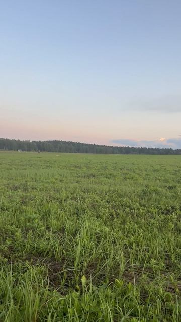 Дупель