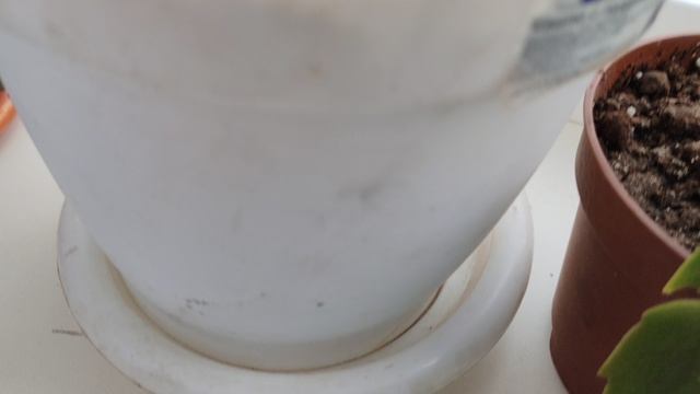 Деревенский пейзаж из окна, жизнь в деревне