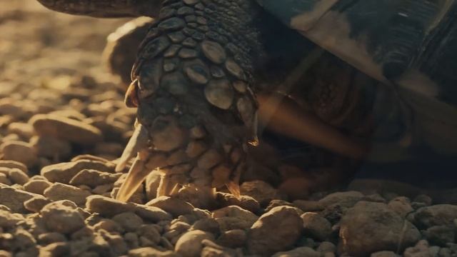 Bank Of New Zealand - Take Your Sweet Time (2025)