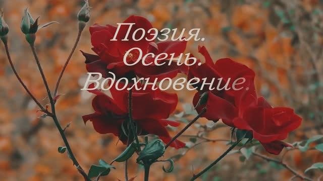 Осень влюблённая в грусть | Поэзия о магии увядания