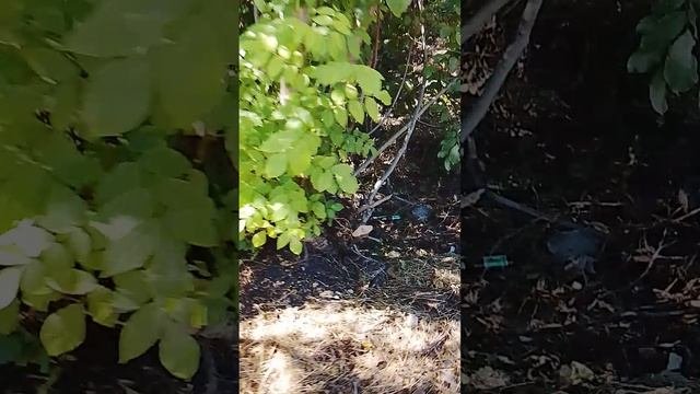 1000004835.mp4