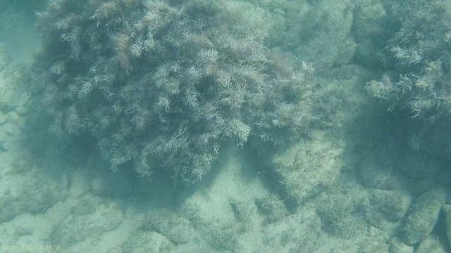 Анапа 04.09.2025 Водный мир