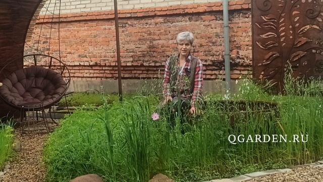 Стартовал совместный заказ Садовые кольца  от QGARDEN