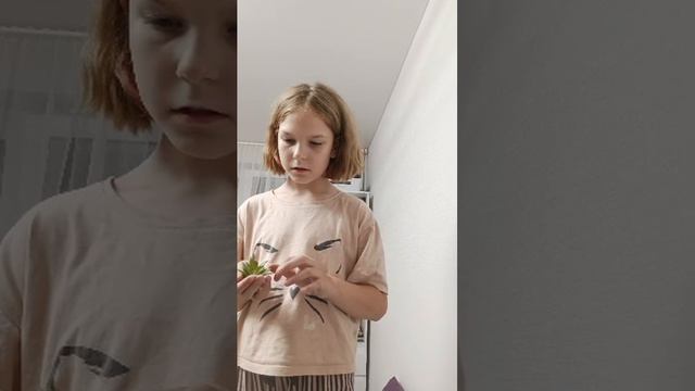подготовка ко сну