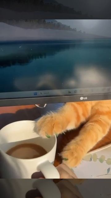 И как с ним работать?