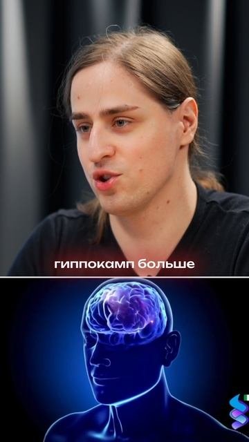 Как прокачать свою память? Владимир Алипов
