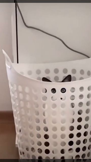 "Ловлю взгляд, не сплю!"