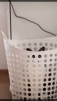 "Ловлю взгляд, не сплю!"