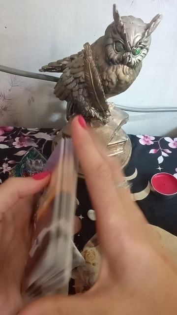 Подсказка Вселенной!