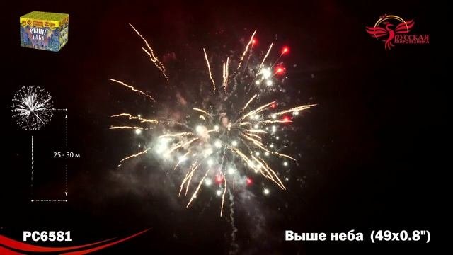 РС6581
