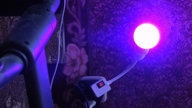 До чего дошёл прогресс