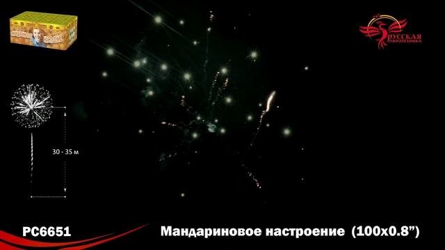 РС6651