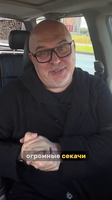 Осень, грибы, лес — романтика до первого хрюка.