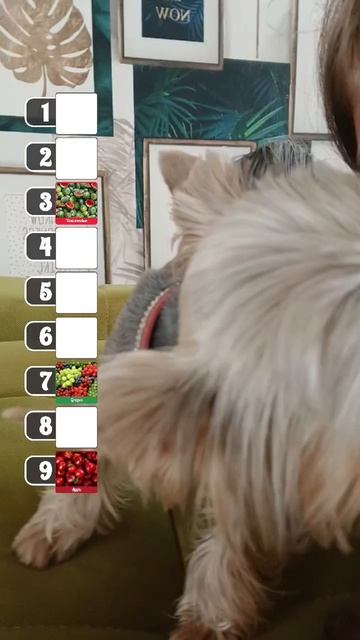 растоновка фруктов маски