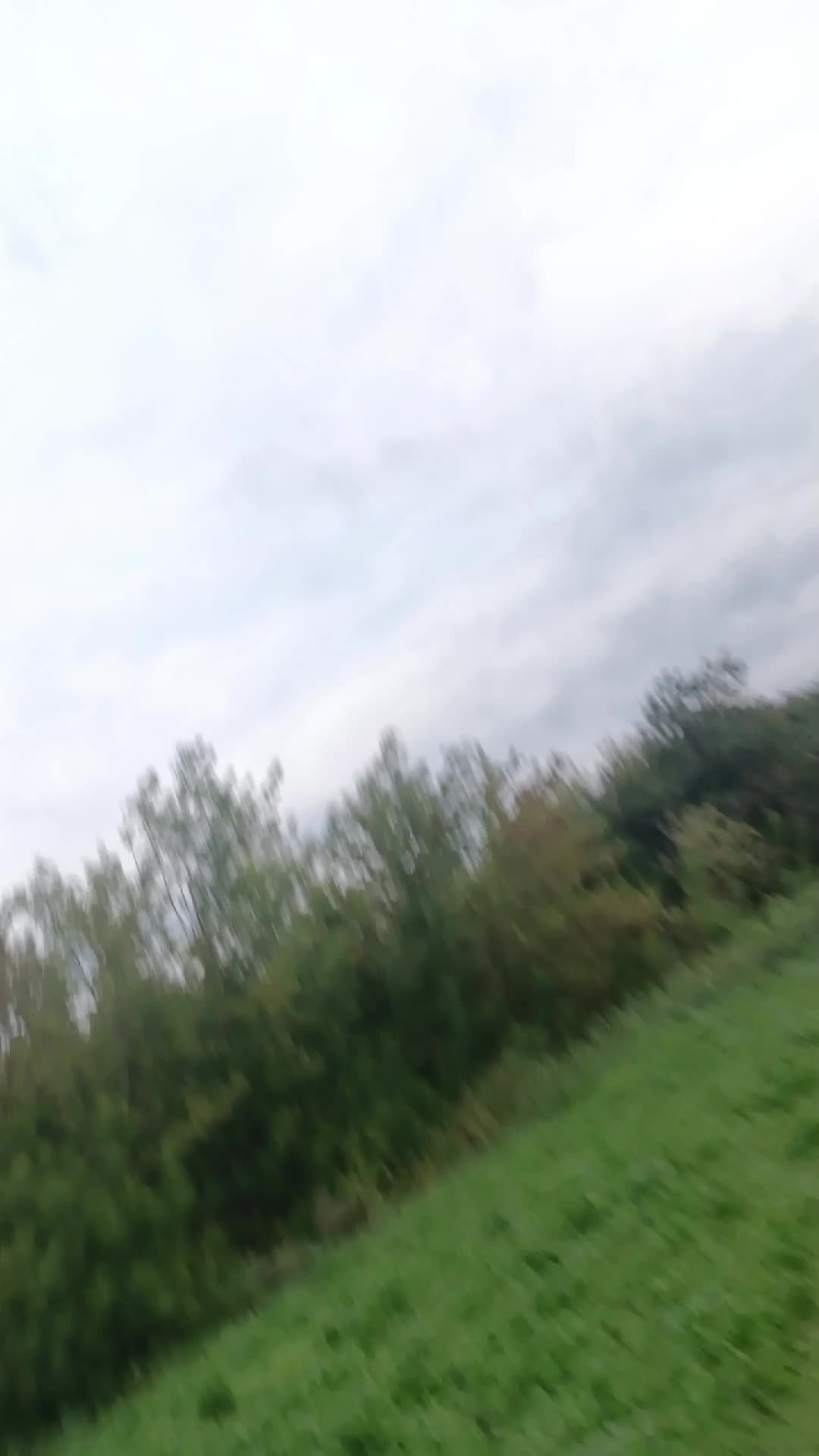 прятки