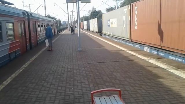 Электровоз ВЛ11М-309 с грузовым поездом и электропоезд ЭД4М-0127