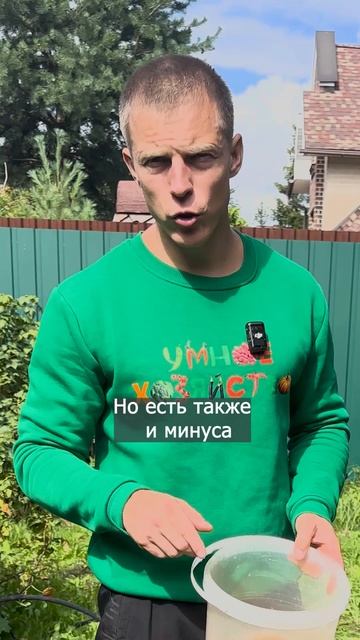 СИДЕРАТ - ГОРЧИЦА. ЗА И ПРОТИВ