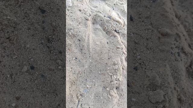 металокопчик