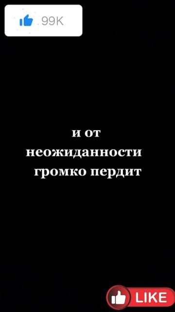 АНЕКДОТ ПРО АВТОБУС 👍😀😀