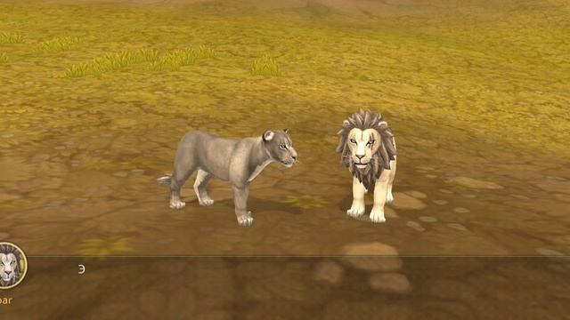 ОЧЕНЬ ВАЖНО!! (Хз че писать.) | Ну Пчела.