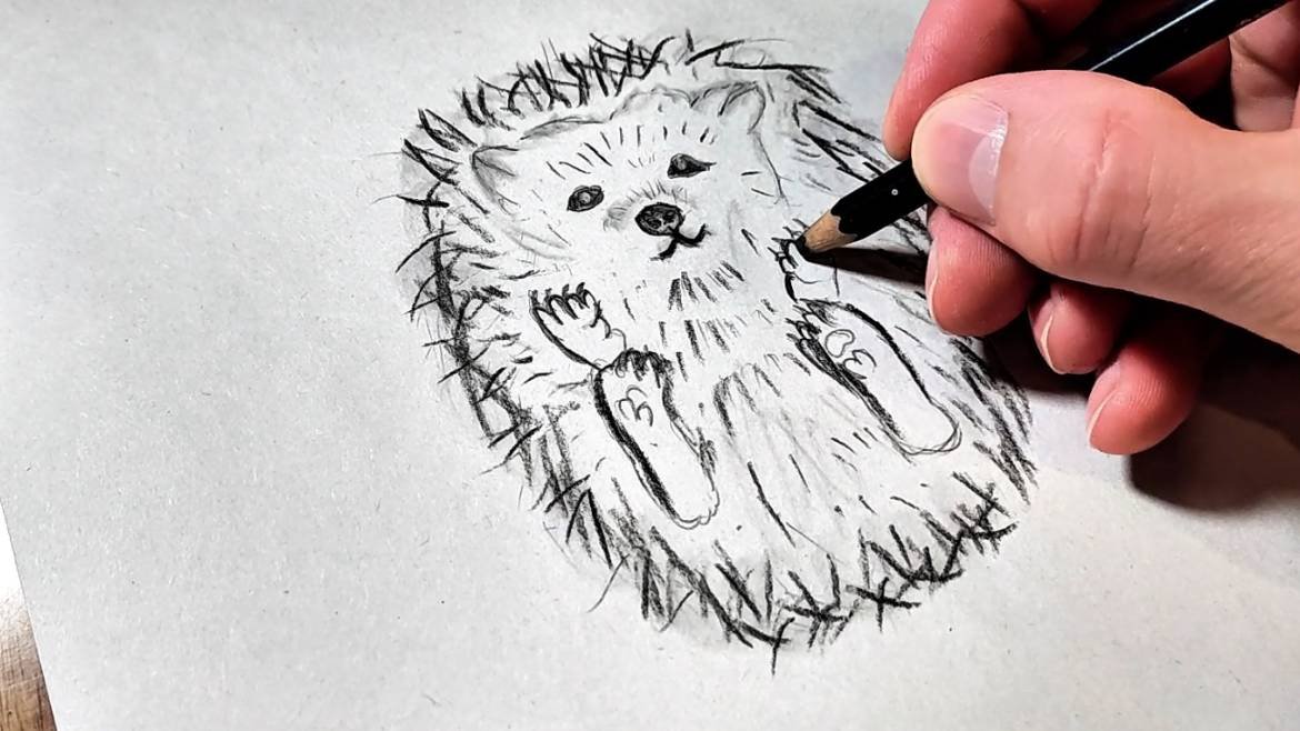 Милый ёжик в твоём блокноте 🦔