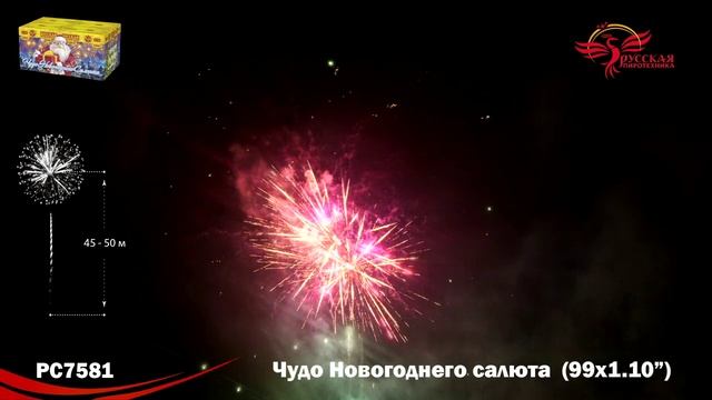 РС7581