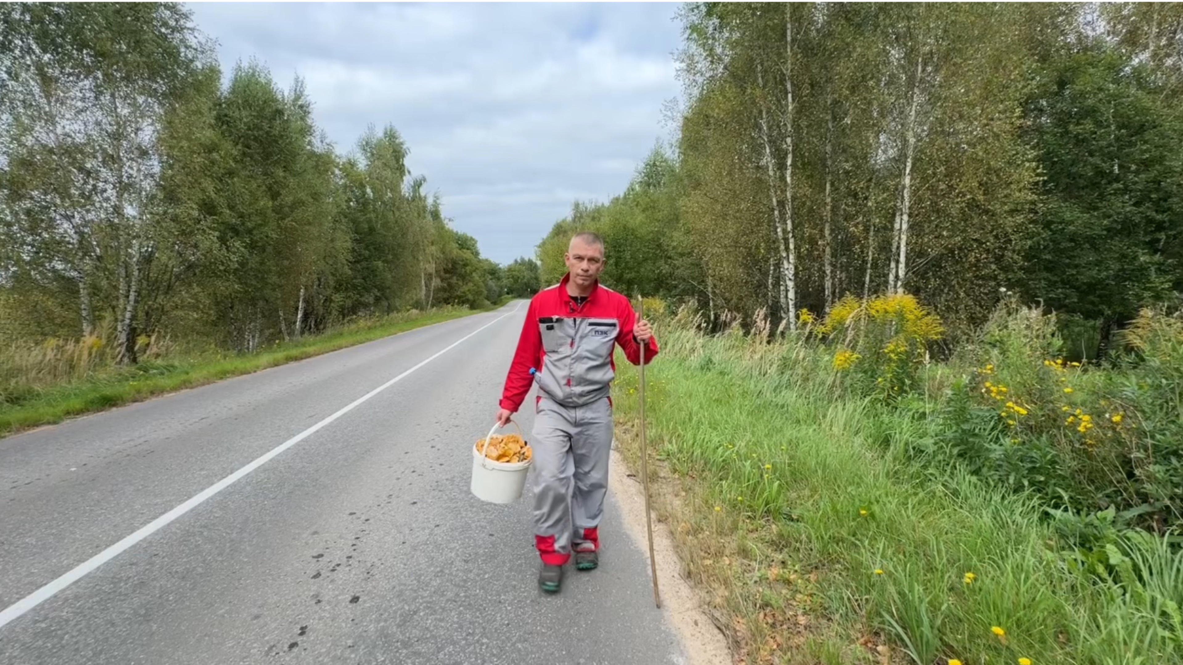 СХОДИЛИ В ЛЕС, НАБРАЛИ ГРИБОВ