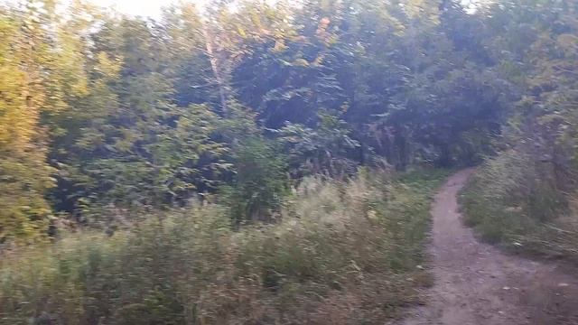 05-09-2025 Задумчивая осень