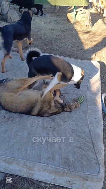 науки нужен дом и человек