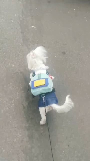 моя школьница