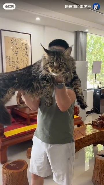 Мяо Ли