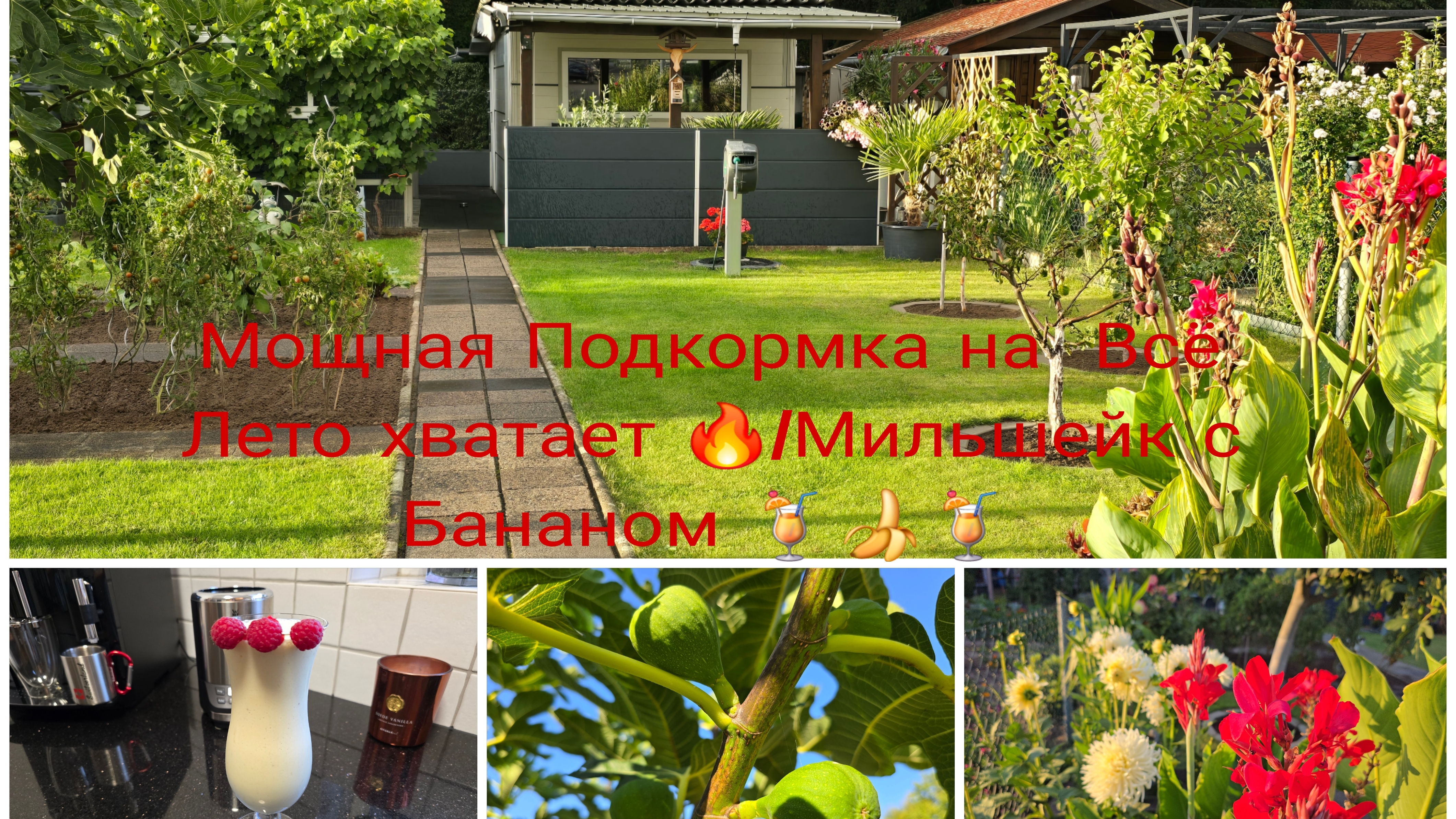 Наша Дача в Германии/Последняя подкормка в этом году/Коктейль 🍹🔥с  Мороженым🍦 и 🍌