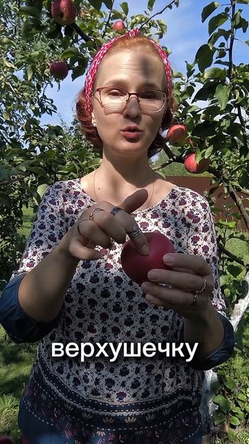 Кушайте яблоки на здоровье!