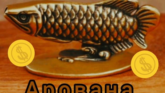 InShot_20250905_205424686.mp4