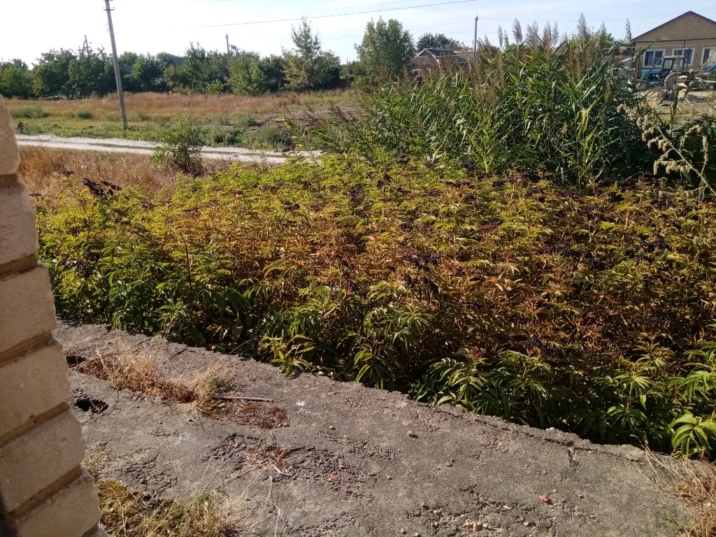 Строем деревну