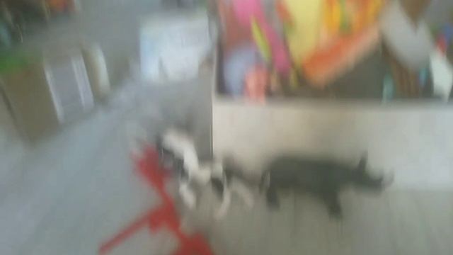 Долгожданное видео новости