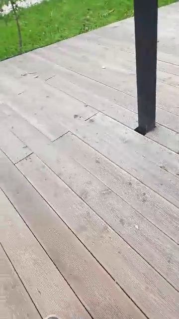 нез