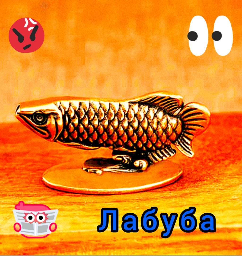оаоа