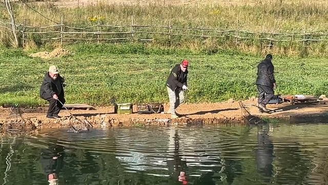 Поимки на спорт-зоне
