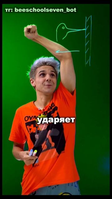 💡 Физика в действии: секреты ударов дятла