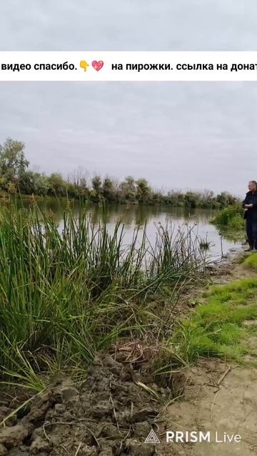 Прямая трансляция Fishing и мы !