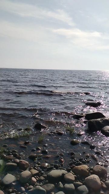 Берег Ладоги, 13 июля 2025.