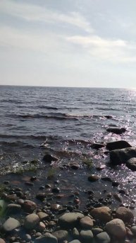 Берег Ладоги, 13 июля 2025.