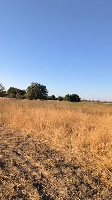 #алексейфролов #недвижимостькрым #купитьдом #построитьдом  #крым #миэль