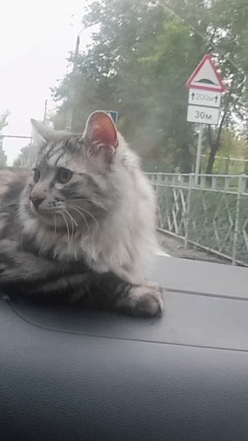 поездка г.Волгоград
