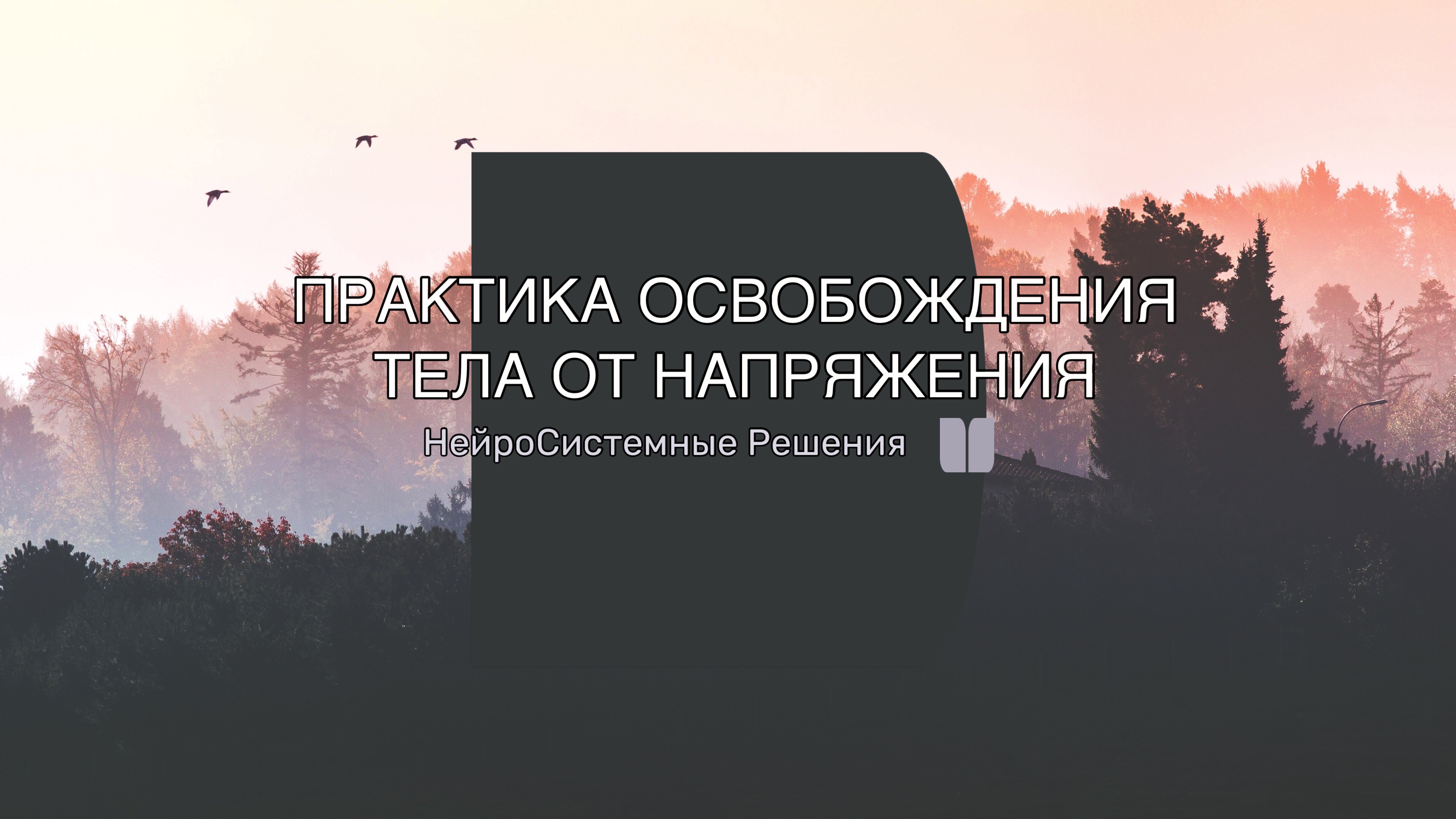 Практика освобождения тела от напряжения