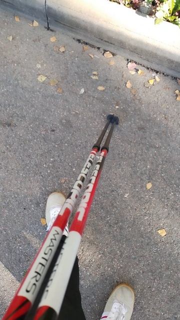 Клумба, 3 сентября 2025.