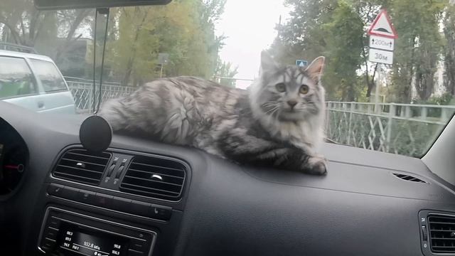Ч 2. поездка в г.Волгоград