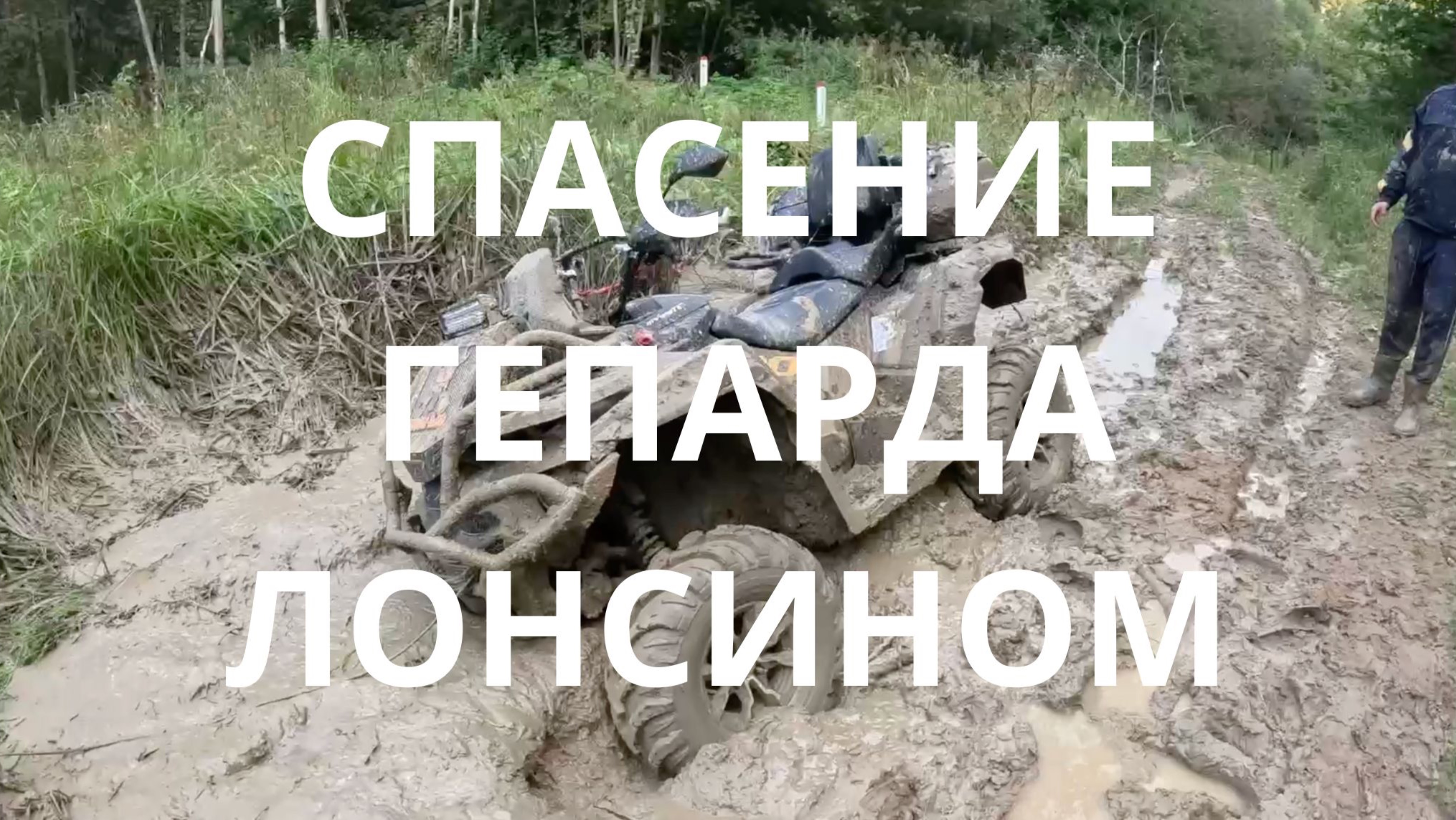 ЛОСЬ СПАС ГЕПАРДА